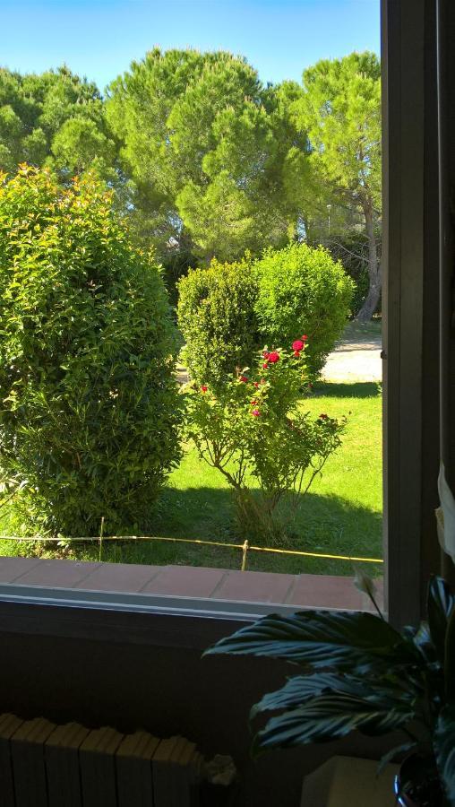 Saint-Jean-de-Cornies Chez Naomi Bed & Breakfast エクステリア 写真
