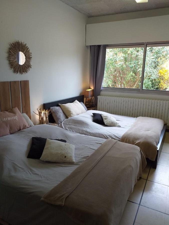 Saint-Jean-de-Cornies Chez Naomi Bed & Breakfast エクステリア 写真