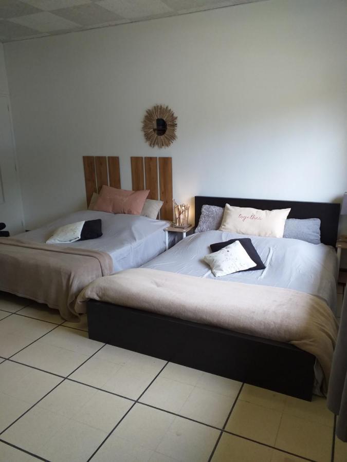 Saint-Jean-de-Cornies Chez Naomi Bed & Breakfast エクステリア 写真